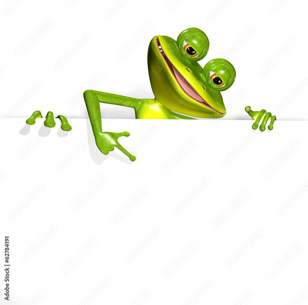 Fototapeta premium Frog and white background