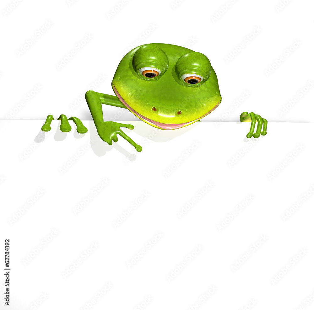 Fototapeta premium Frog and white background