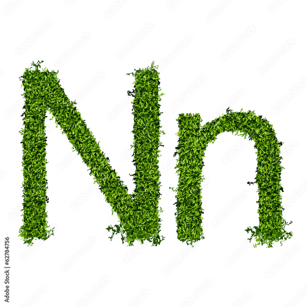 Isolated grass alphabet N Isolated grass alphabet N