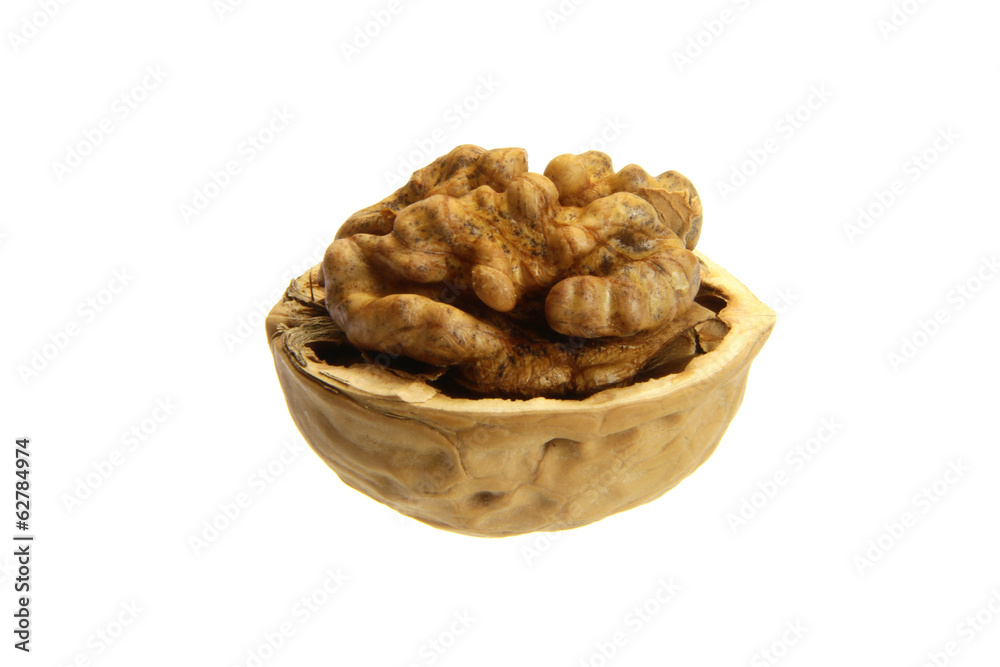 walnut walnut