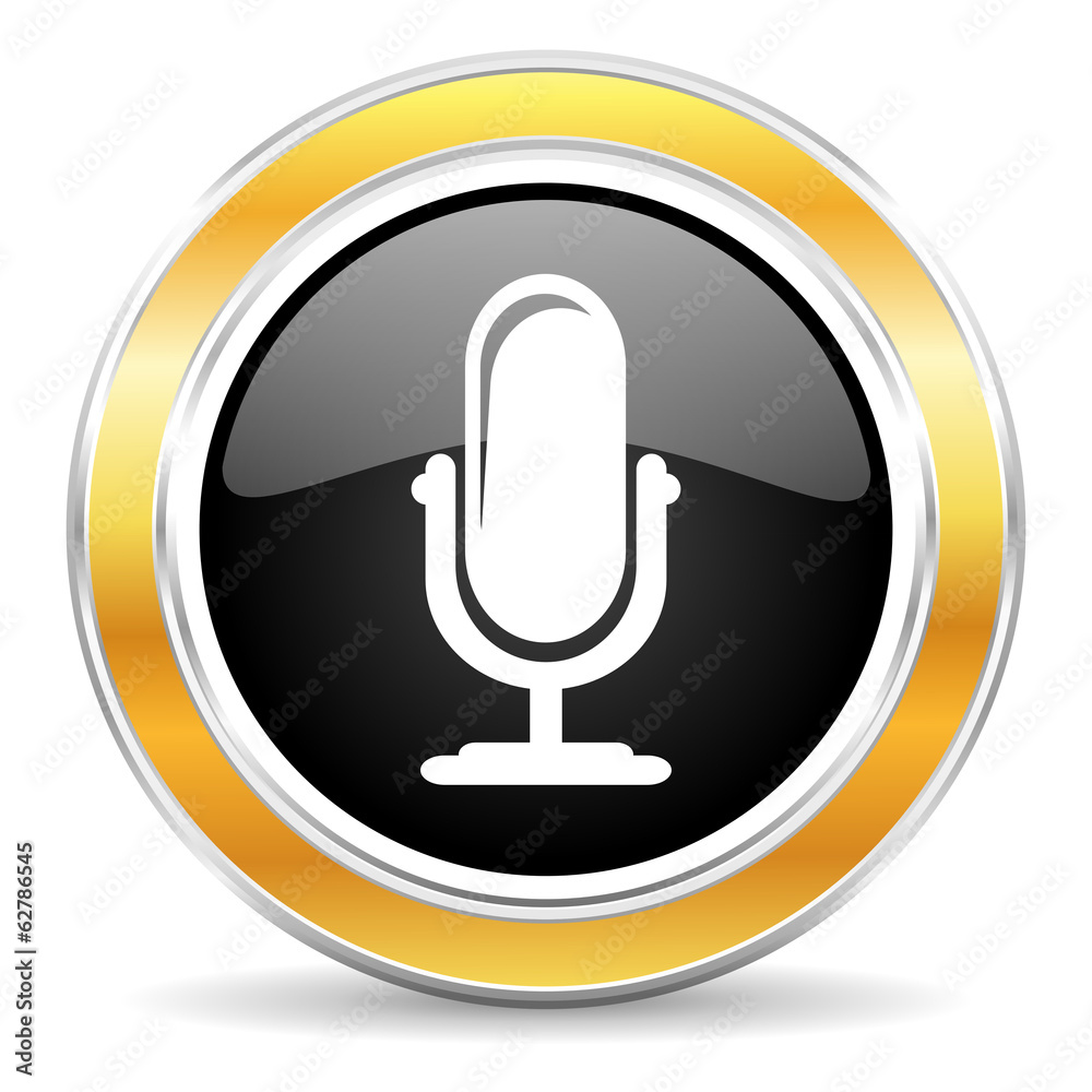 microphone icon