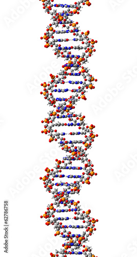 DNA molecule. 3D Illustration
