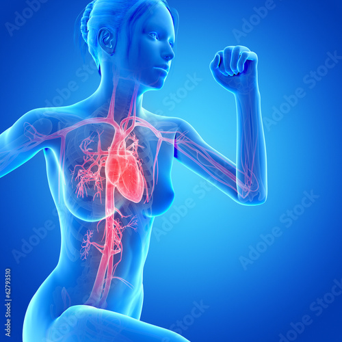 illustration of a running woman - visible heart photo