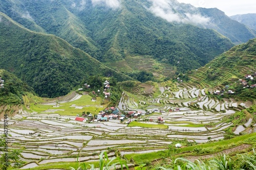 Fotografie Rice fields terraces in Philippines