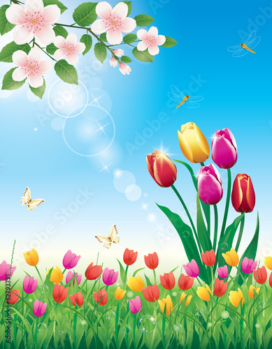 flowery meadow with tulips