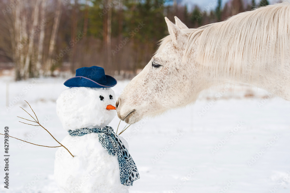 Naklejka premium Portrait of grey horse with a snowman