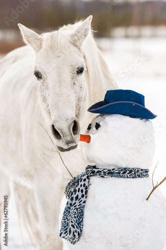 Grey horse eating a carrot-nose of snowman