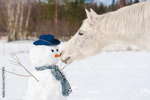 Portrait of grey horse with a snowman