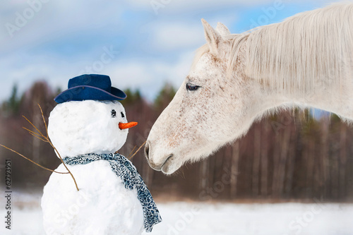 Portrait of grey horse with snowman