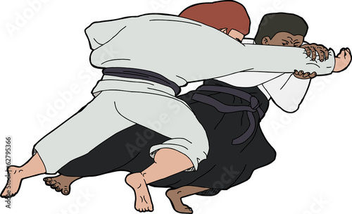 Aikido Throw