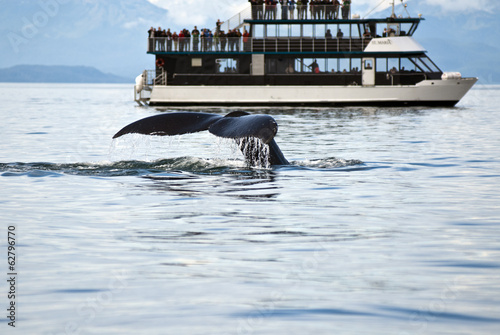Alaska - Whale Watching Adventure