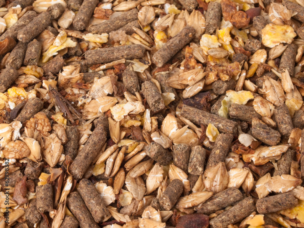 natural sportive muesli background. for horse. natural sportive muesli background. for horse.
