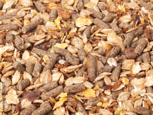 natural sportive muesli background. for horse.