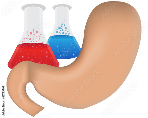 Stomach Research