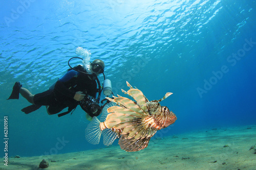 Wallpaper Mural Scuba Diver and Lionfish Torontodigital.ca
