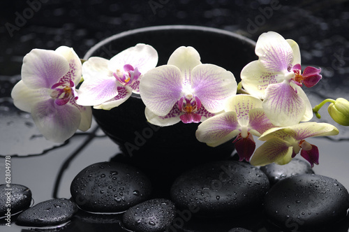 spa concept    branch yellow orchid in bowl with stones