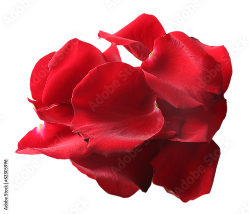 Beautiful red rose petals  isolated on white
