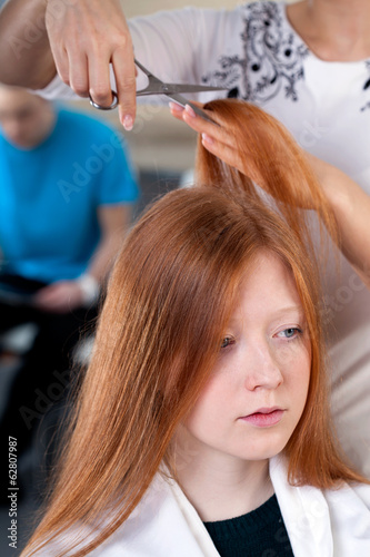Professional hairdresser services