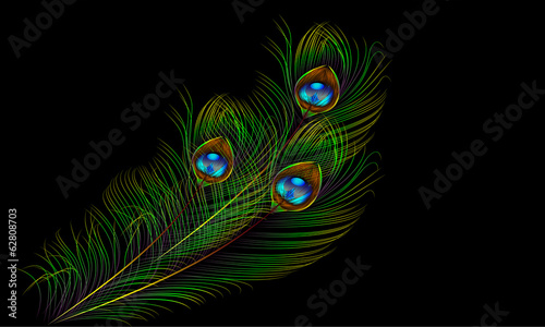 peacock feather vector background