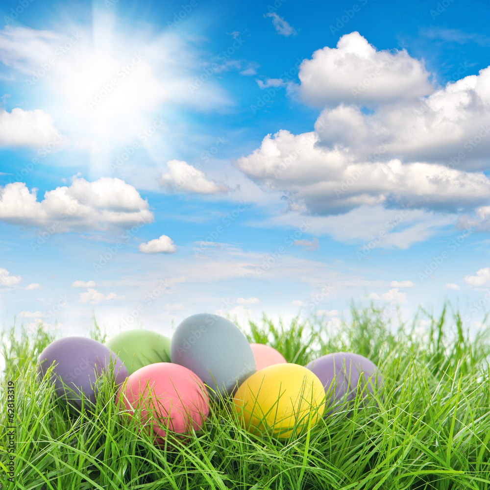 easter eggs in green grass with blue sky easter eggs in green grass with blue sky
