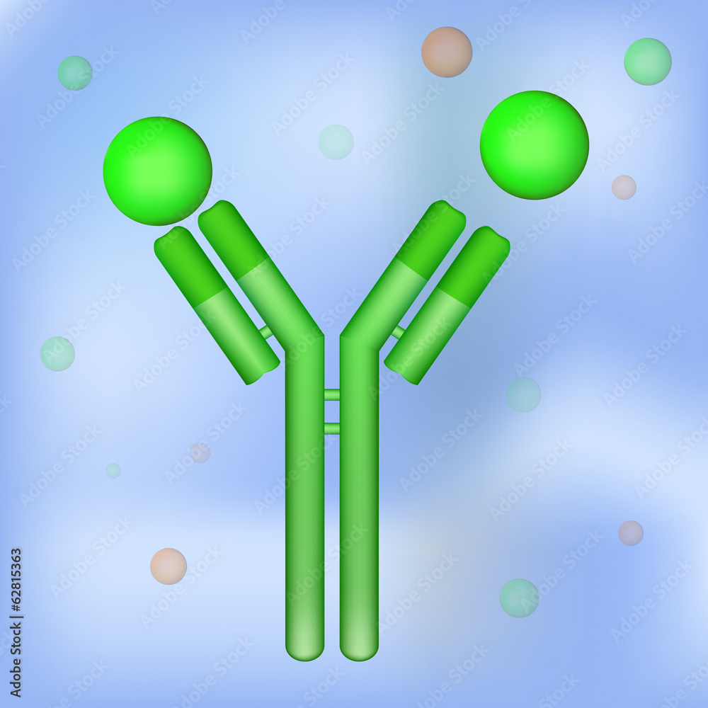 Antibody Molecule Floats In Water And Binds Antigen Stock Vector