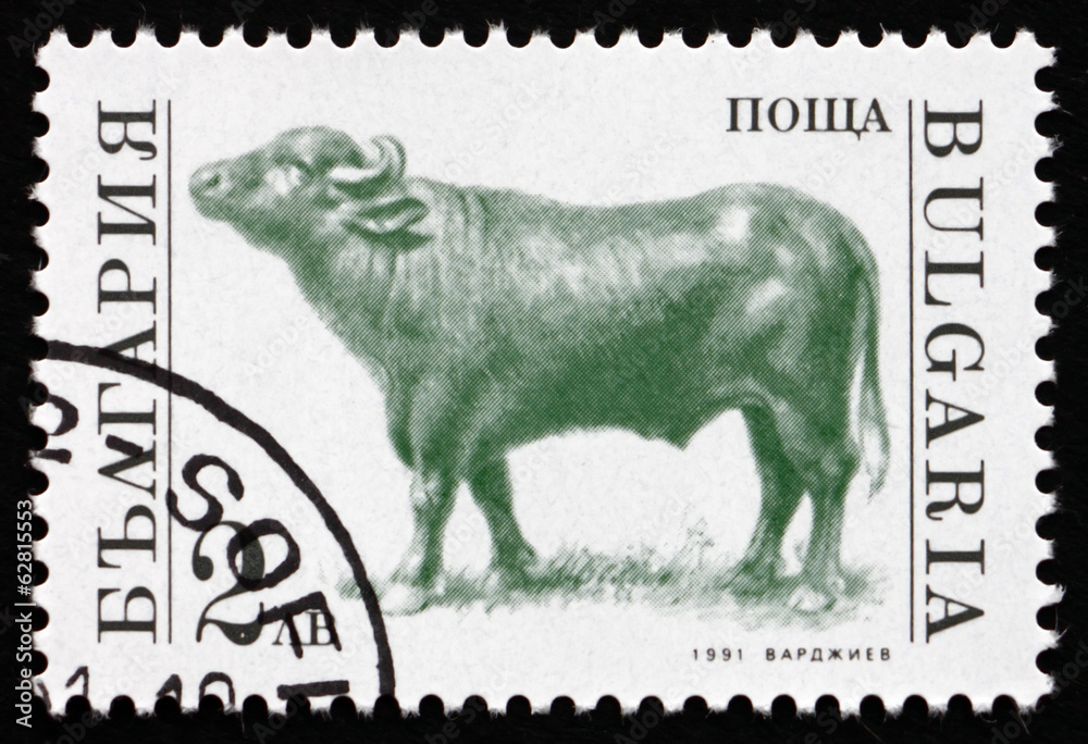 Naklejka premium Postage stamp Bulgaria 1991 Bull, Farm Animal