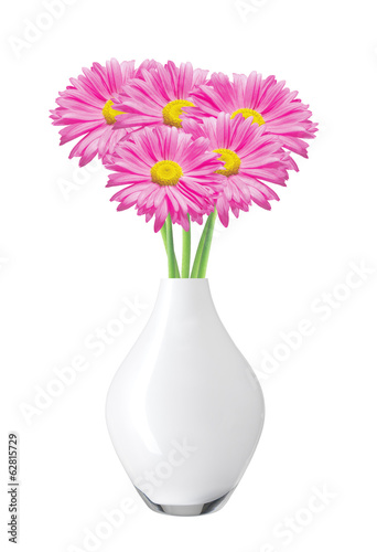 Pink Chamomiles (chrysanthemums) in vase isolated on white © wolfelarry