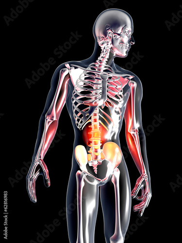 Anatomie - Bauchschmerzen