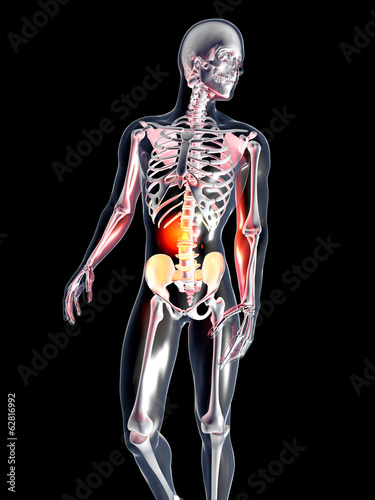 Anatomie - Bauchschmerzen