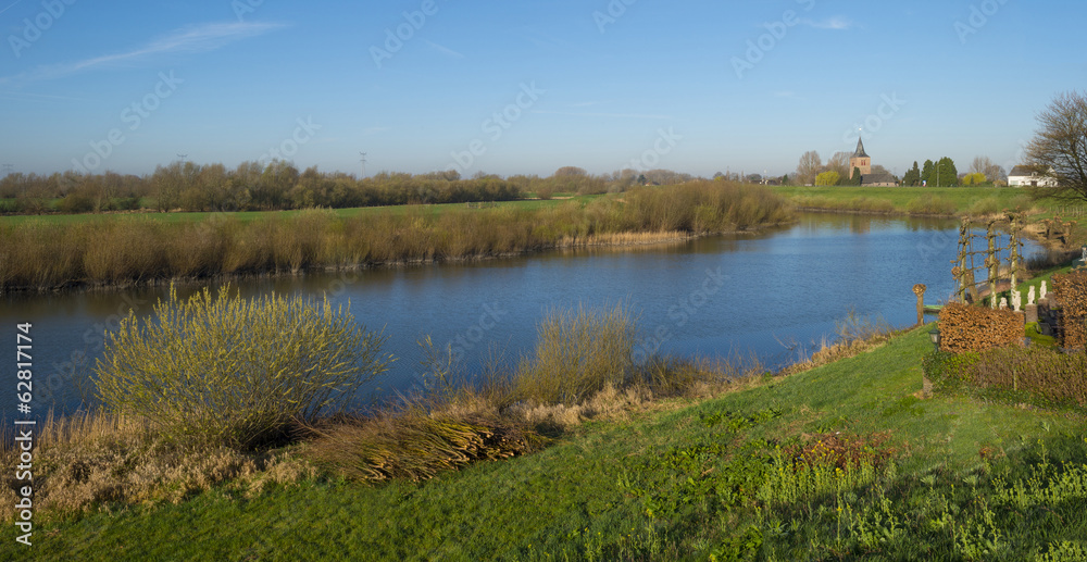 Pollard willows along a sunny river