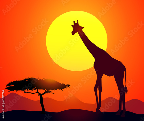 Giraffe   Sunset in Africa-vector
