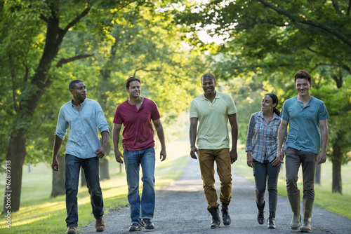 Five people walking down a tree lined avenue in the countryside. photo