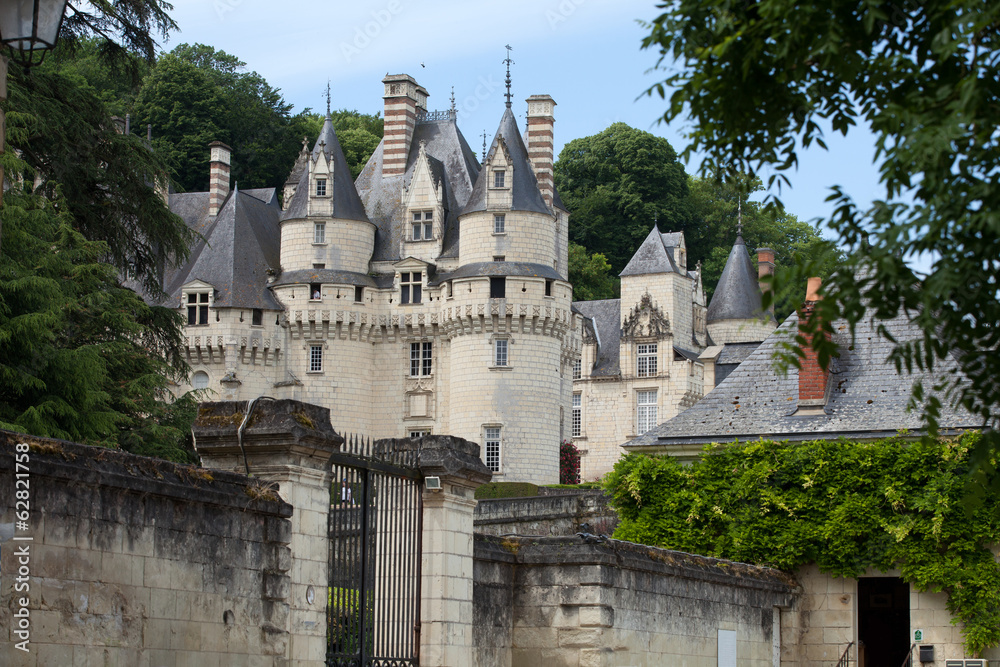 Castel of Rigny-Usse.  Loire Valley, France