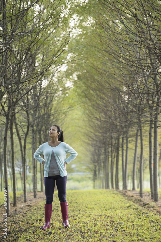 A woman between two rows of trees, looking upwards. A woman between two rows of trees, looking upwards.