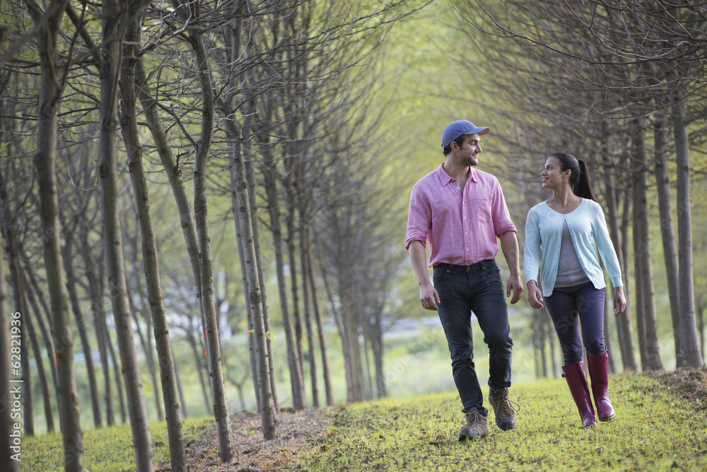 A couple walking between two rows of trees. A couple walking between two rows of trees.