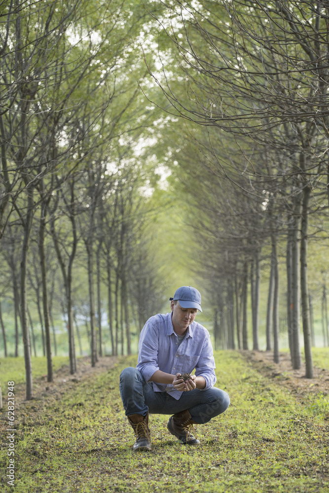 A man crouching and examining a handful of soil. A man crouching and examining a handful of soil.