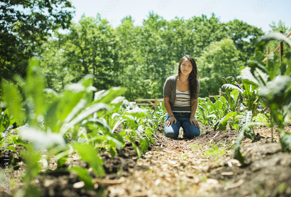 A young woman on a traditional farm in the countryside of New York State, USA A young woman on a traditional farm in the countryside of New York State, USA