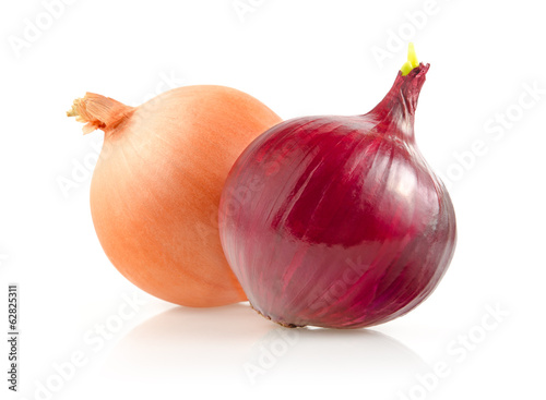 Onion Bulbs Isolated on White Background
