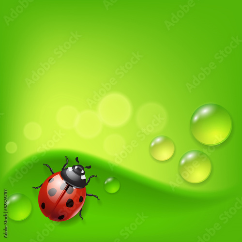 Green background with ladybird and dew © hamara