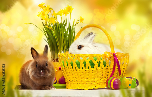 Two little rabbits among Easter eggs in basket
