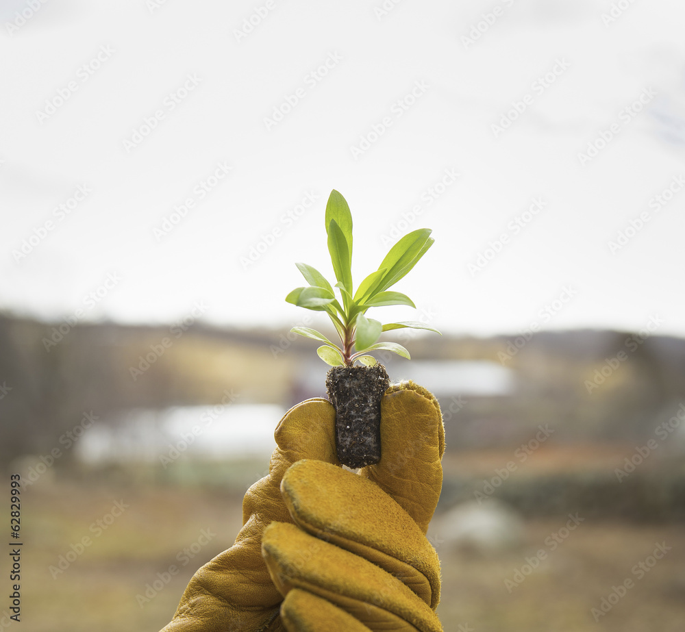 An Organic Farm in Winter in Cold Spring, New York State. A gloved hand