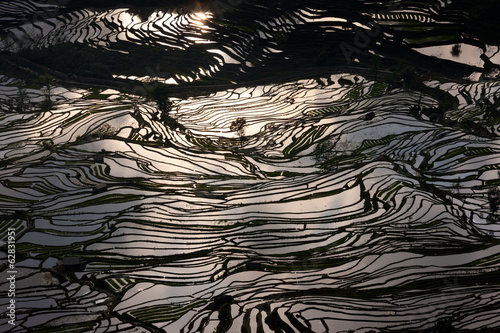 Terraced rice fields, Yuanyang, China