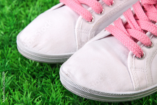 Beautiful gumshoes on green grass background