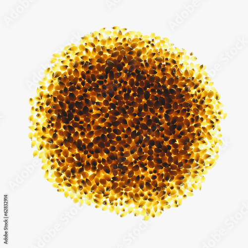 Circle of organic popcorn kernels on white background