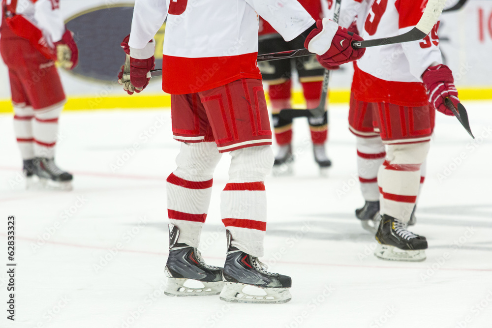 Obraz premium Hockey