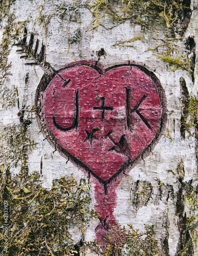 J+K and heart symbol carved in moss covered Alder tree, Olympic NP photo