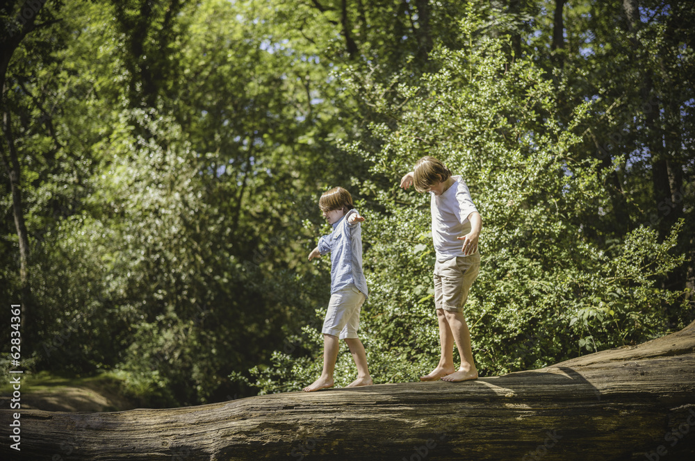 Two boys walking on fallen tree with arms outstretched Two boys walking on fallen tree with arms outstretched