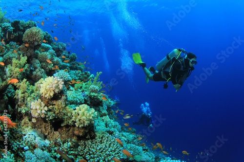 Scuba diving on coral reef