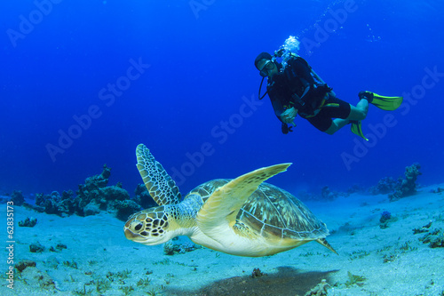 Fotografia, Obraz Sea Turtle and Scuba Diver