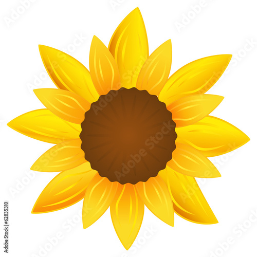 Fototapeta Naklejka Na Ścianę i Meble -  Sonnenblume